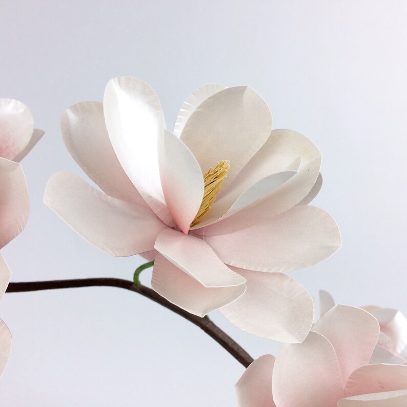 magnolia paper flower template svg and pdf flower template