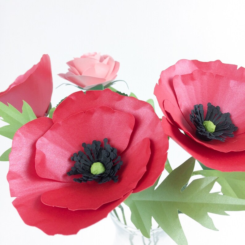 Free Free 175 Poppy Flower Outline Svg SVG PNG EPS DXF File