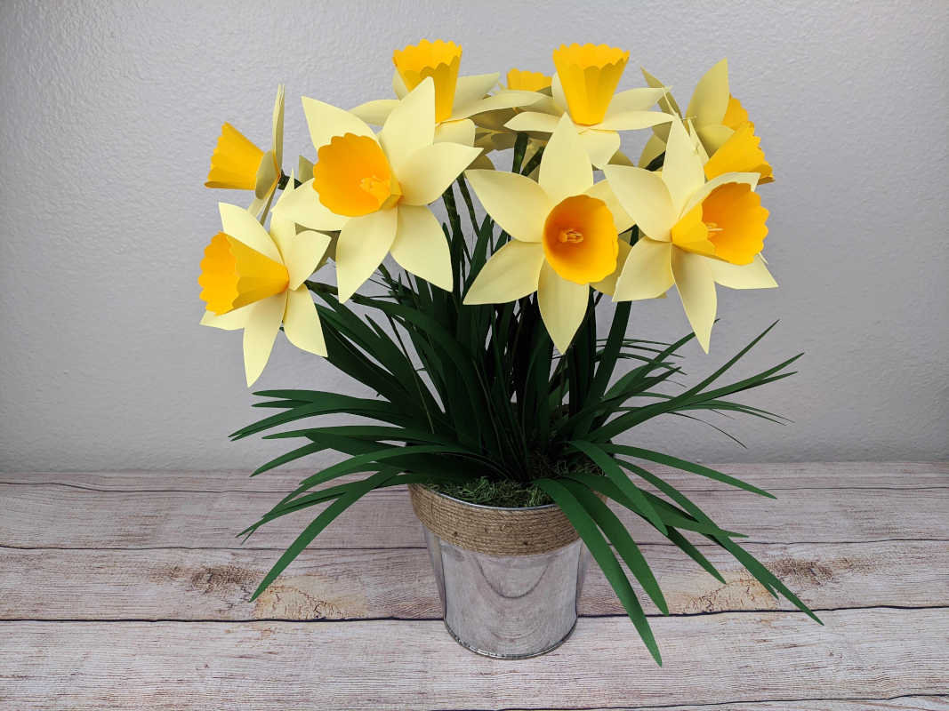 paper daffodil template paper flower template flower svg etsy