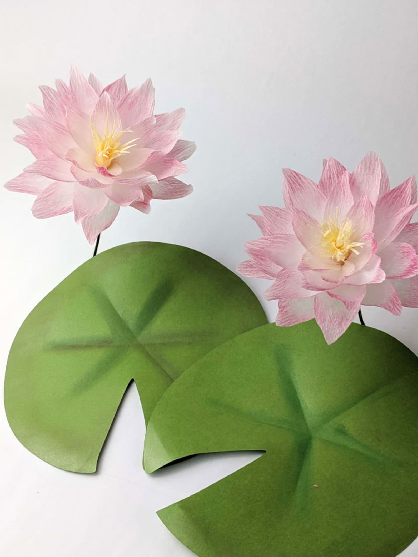 Crepe Paper Water Lily Template Crepe Paper Flowers Paper Etsy