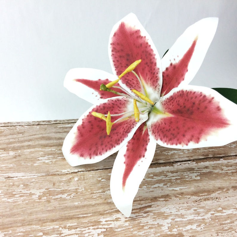 Free Free 279 Lily Flower Svg Free SVG PNG EPS DXF File