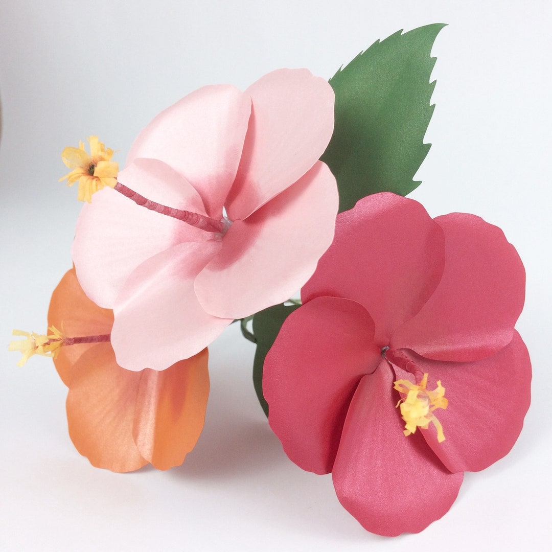 Hibiscus Paper Flower Template SVG Paper Flower 3D Paper Flower Etsy