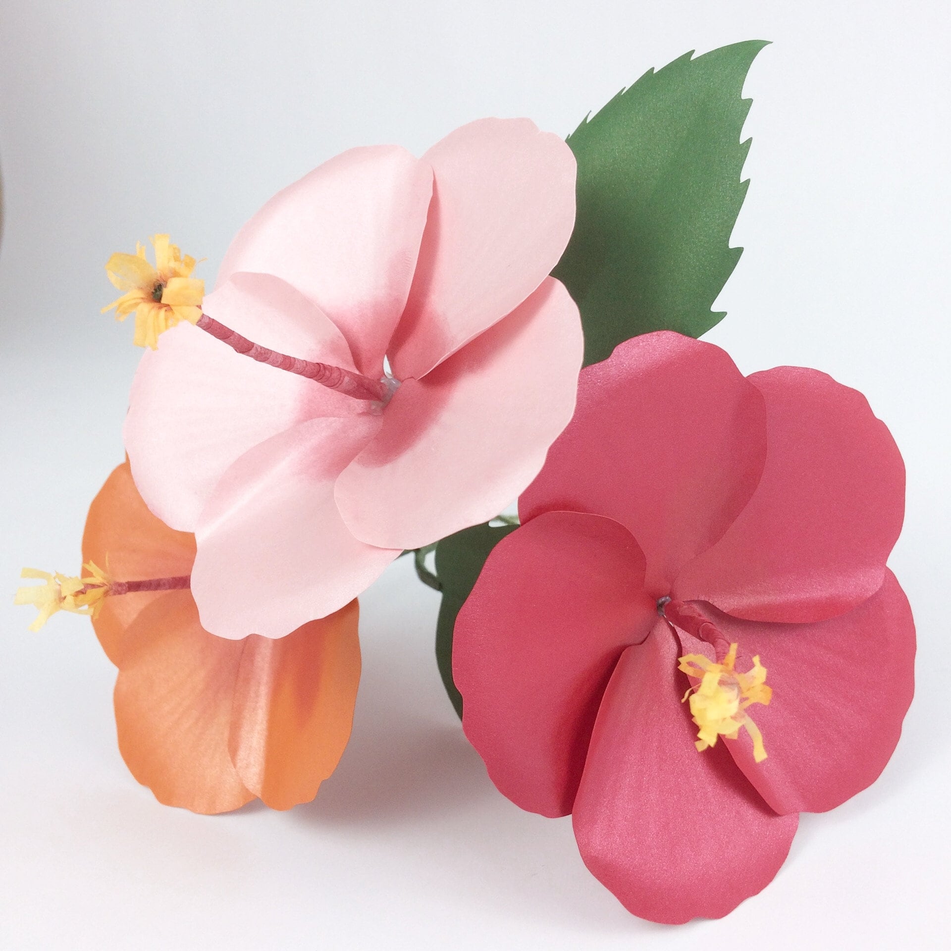 Free Free 165 Paper Flower Hibiscus Svg Free SVG PNG EPS DXF File