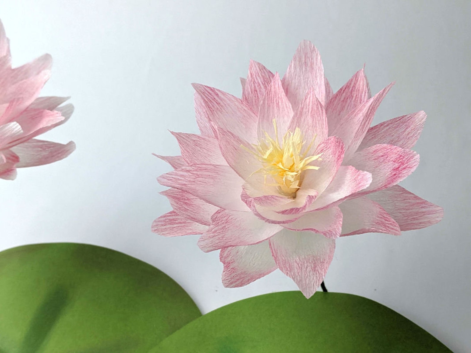 Crepe Paper Water Lily Template Crepe Paper Flowers Paper - Etsy