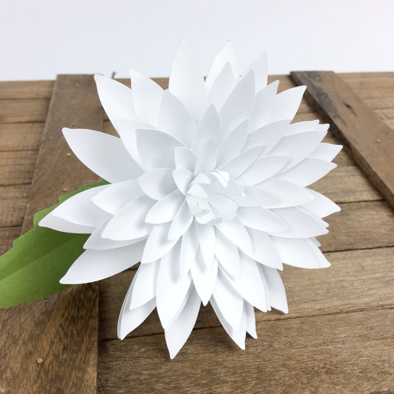 Free Free 92 Dahlia Flower Svg Free SVG PNG EPS DXF File