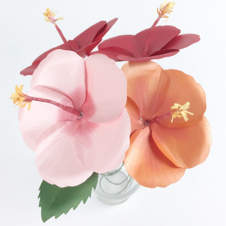 Free Free 99 Hibiscus Paper Flower Svg Free SVG PNG EPS DXF File