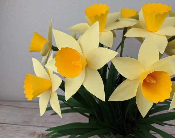 Download Paper Daffodil Template Paper Flower Template Flower Svg Etsy