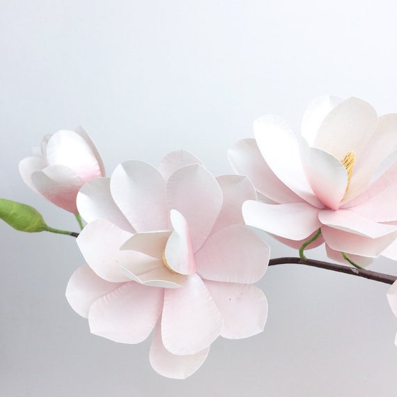 Free Free 250 Magnolia Flower Svg File Free SVG PNG EPS DXF File