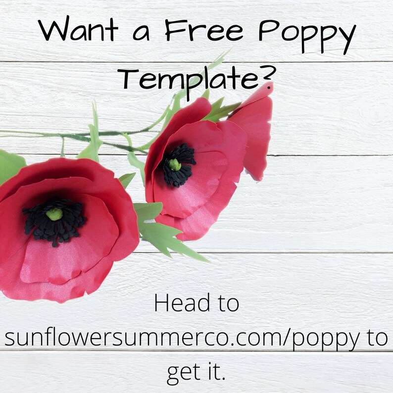 Download Paper Daffodil Template Paper flower template Flower svg ...