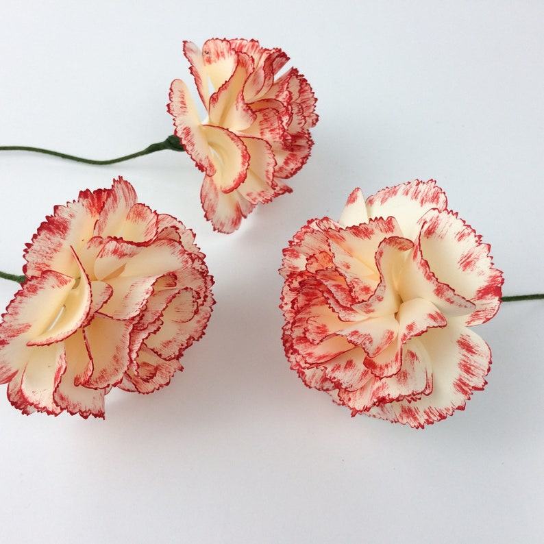 Carnation Paper Flower Template 3d paper flower svg paper Etsy