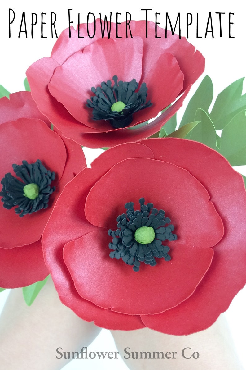 Free Free 62 Poppy Flower Outline Svg SVG PNG EPS DXF File