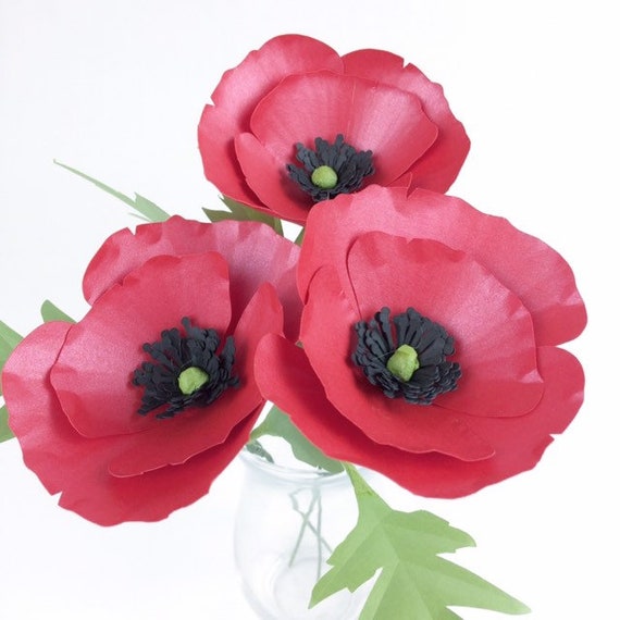 Download Free Poppy Paper Flower Template 3d Paper Flower Flower Svg Etsy SVG Cut Files