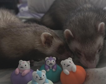 FuffyFerrets Pumpkin Pals