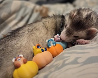May include: A ferret with grey, white, and black fur rests near a row of three small, colorful animal figurines. Each figurine features a tiny creature sitting inside a smooth, rounded pumpkin-shaped base in yellow, orange, and blue.