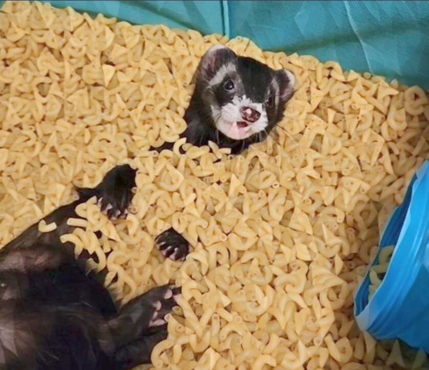 il_fullxfull.5049260272_nohk.jpg