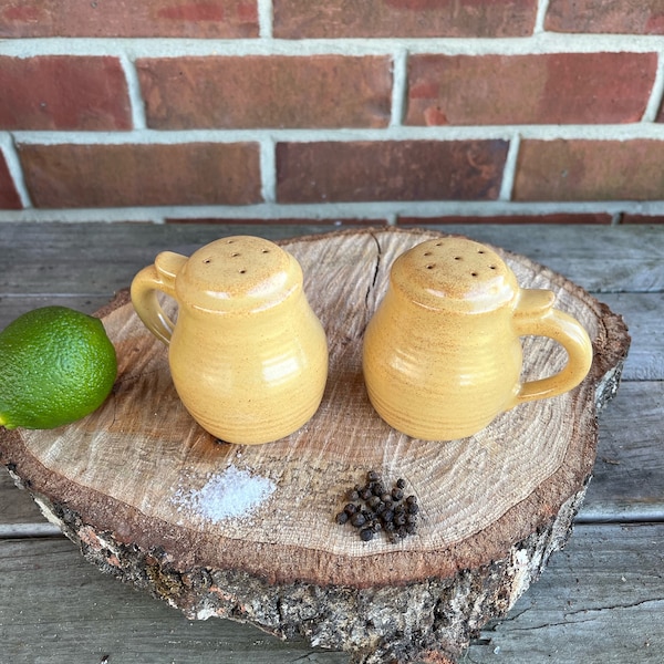 Stoneware Salt and Pepper Shakers