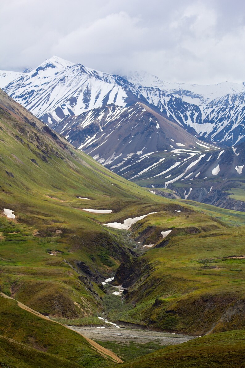 Montagne Dans Le Parc National Denali Toile Imprimé Toile Etsy
