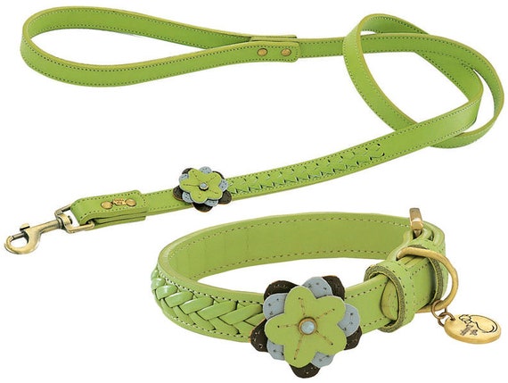 Cute Dog Collars And Leashes