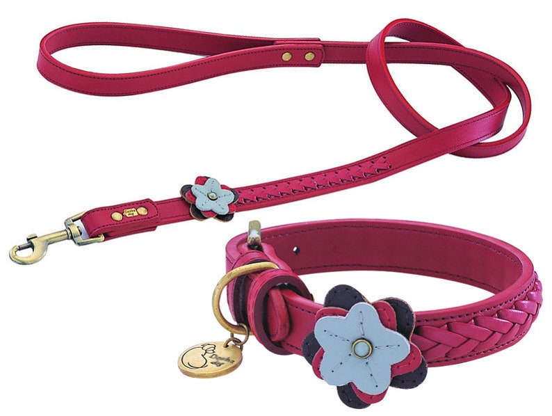 Custom Dog Collars and Leashes Set Cute Dog Collar and Dog Etsy