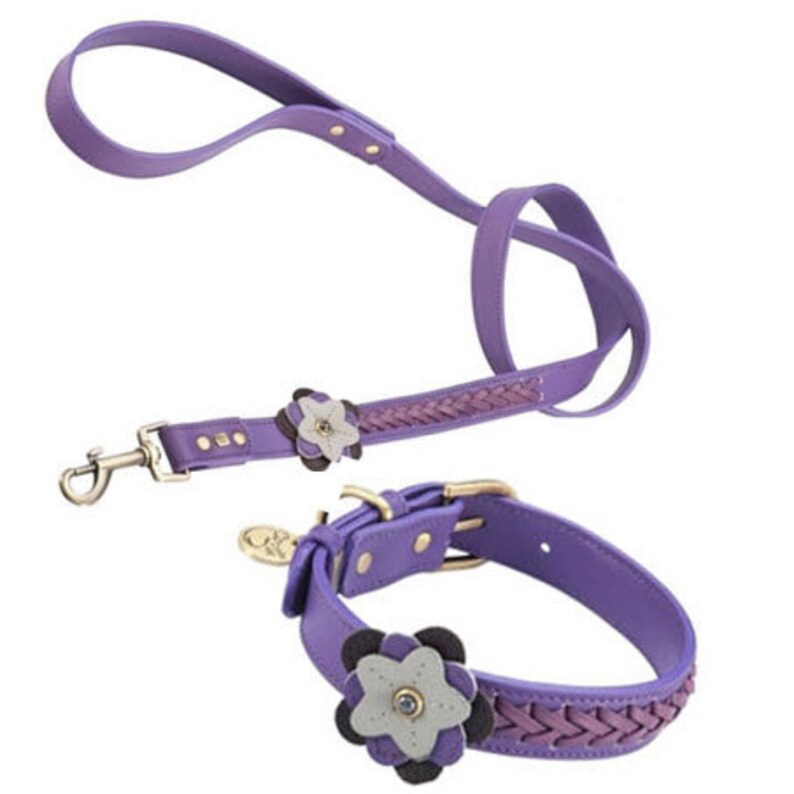 Custom Dog Collars and Leashes Set Cute Dog Collar and Dog Etsy