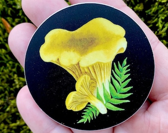 Chanterelle Sticker | Round vinyl sticker | Laptop decal bumper sticker