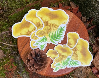Chanterelle Mushroom Sticker | vinyl waterproof laptop water bottle bumper sticker decal | journaling decoration