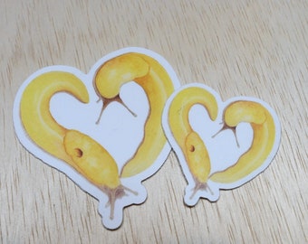 Banana Slug Heart Sticker | Waterproof Vinyl Decal | Laptop, Water Bottle, Scrapbooking, Planner Stickers | Nature Northwest Fauna