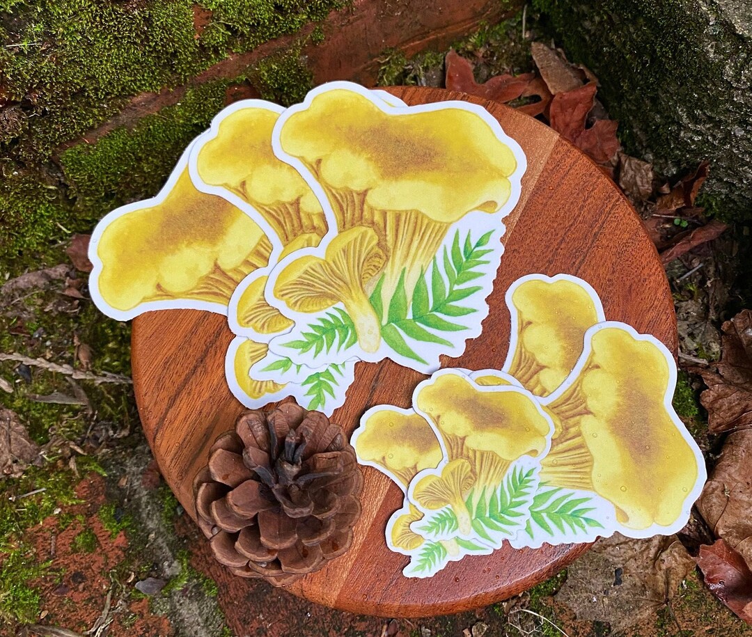 Chanterelle Mushroom Sticker Vinyl Waterproof Laptop Water Etsy