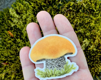 Birch Bolete Mushroom Sticker | vinyl waterproof laptop water bottle bumper sticker decal | journaling decoration