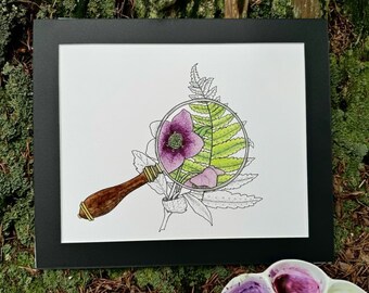 Botanical Watercolor Hellebore Giclee Print 8x10 | Lenten Rose Magnifying Glass Ink Illustrated Wall Artwork | Cottagecore Forestcore Poster