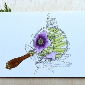 Puede incluir: Una lupa con mango de madera está enfocada en una flor morada y hojas verdes de helecho. La flor está en el centro del vidrio, y las hojas de helecho están alrededor.