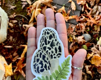 Morel Mushroom Sticker |