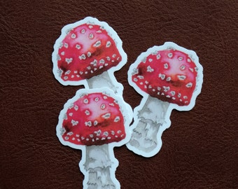 Mushroom Sticker | Watercolor Amanita Fly Agaric Vinyl Waterproof | Water Bottle Decal | Stationery