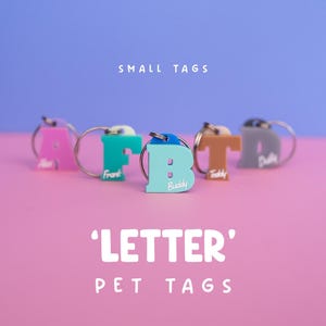 May include: A selection of brightly coloured letter-shaped pet tags with silver key rings. The tags are in pink, teal, light blue, tan, and grey. The text "SMALL TAGS" and "'LETTER' PET TAGS" are displayed in white.