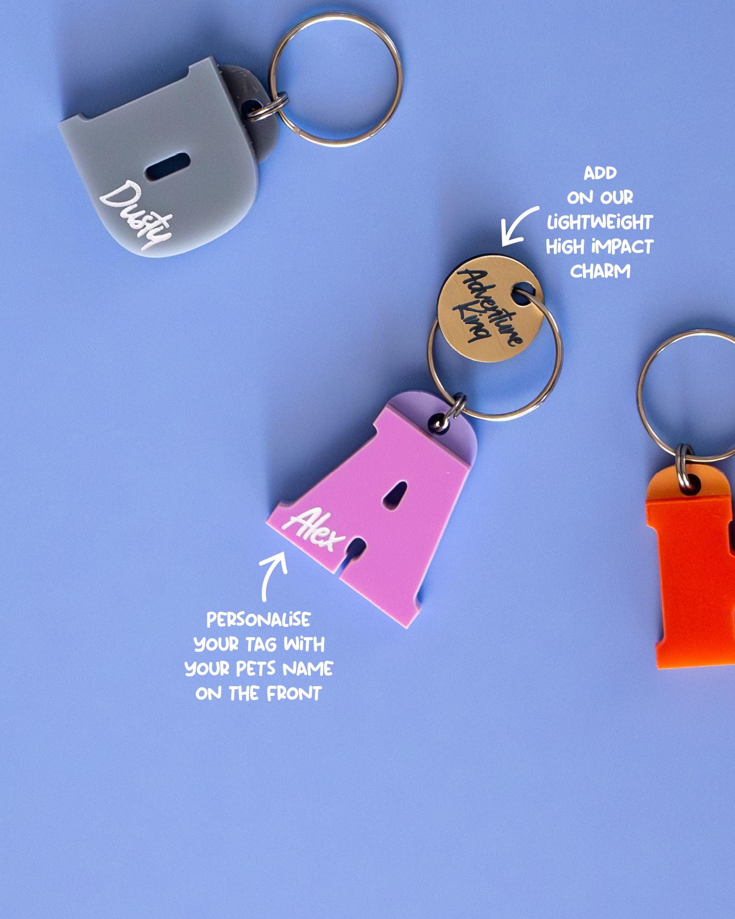 Letter (A-Z) Pet Tag With Engraved Dog or Cat Name and Contact Details ...