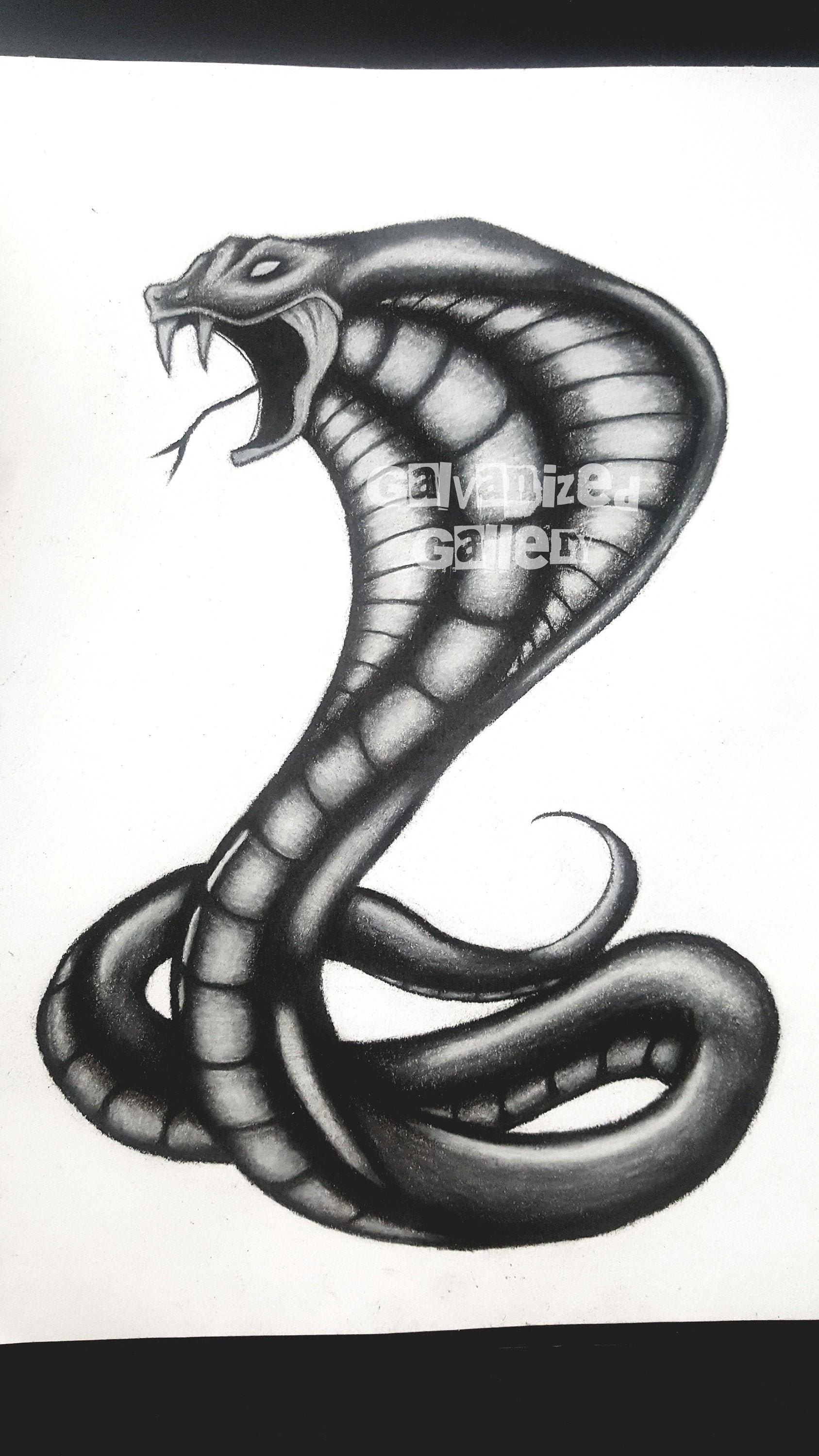 Serpiente serpiente carbón ilustración dibujo pared arte - Etsy España Serpiente serpiente carbón ilustración dibujo pared arte - Etsy España