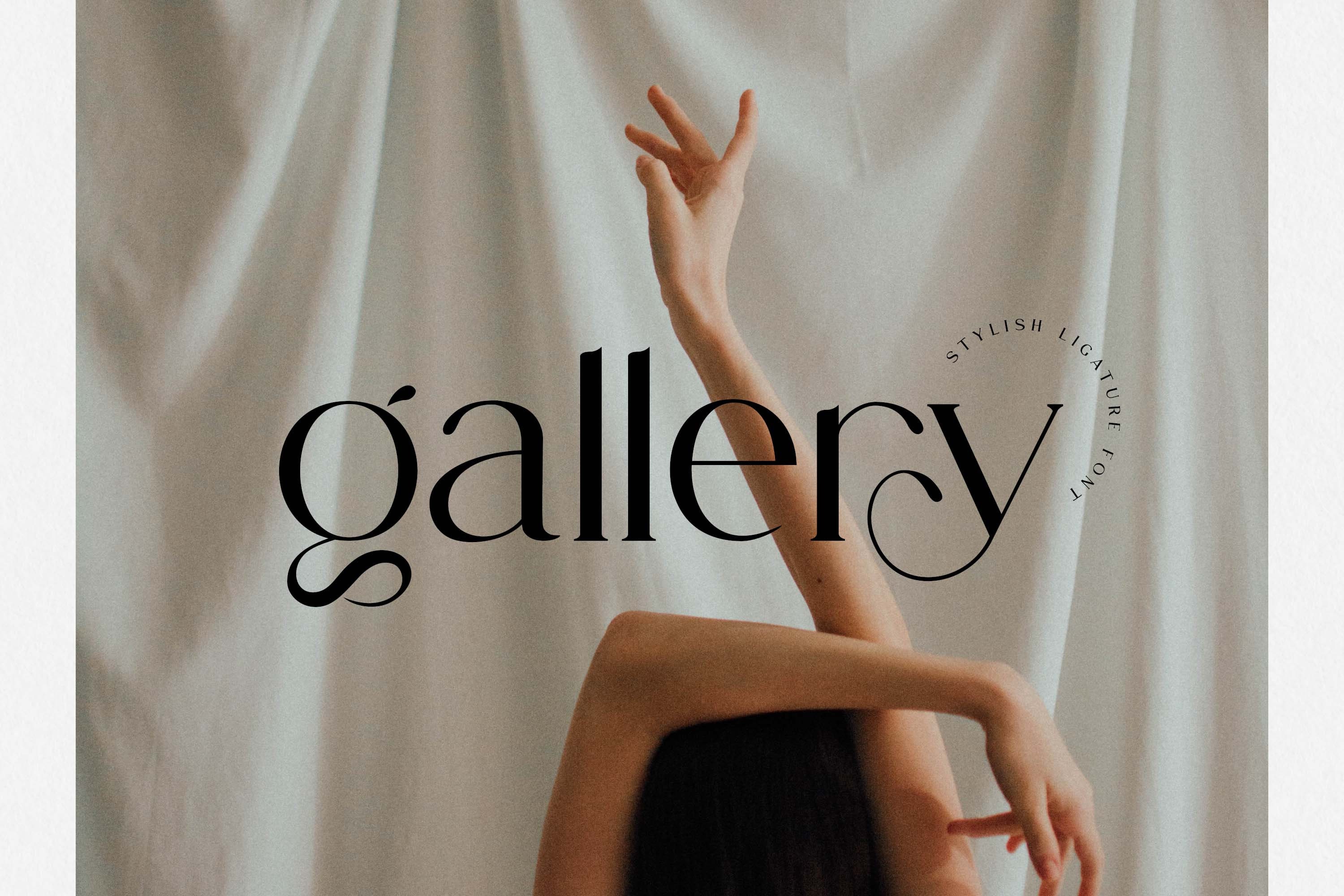 Gallery Modern Serif, Elegant Ligature Font, Unique Stylish Typeface