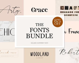 The font bundle, script font collection, handwritten typography, commercial use fonts