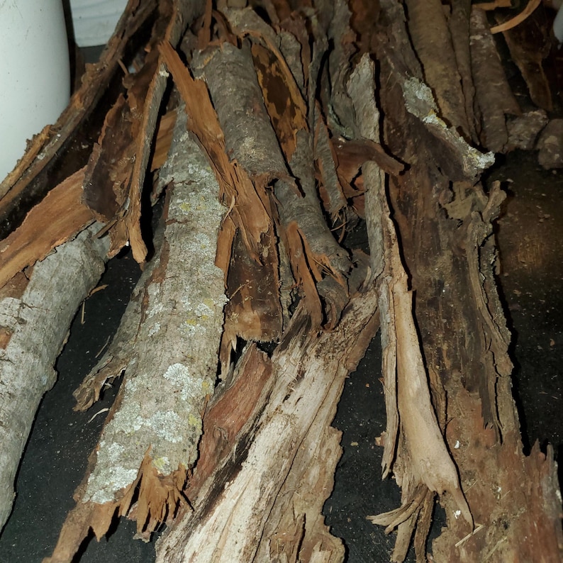 Natural Tree Bark Pieces, Terrarium, Isopod Enclosure, Food, Isopod ...