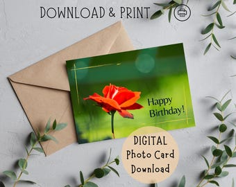 Printable Happy Birthday Card: Bright Red Rose Photo (Digital Download)