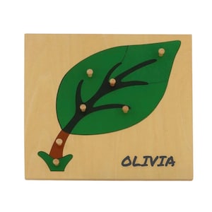 Personalized Montessori Wood Leaf Puzzle | Montessori Biology Teaching Aids | Biology | Botany Cabinet