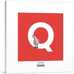 ARTCANVAS Kids Animal Alphabet Letter Q Canvas Art Print