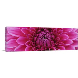 ARTCANVAS Dahlia Flower Home Decor Panoramic Canvas Art Print