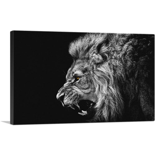 African Lion Black and White Lion Print Canvas Print. Lion Etsy