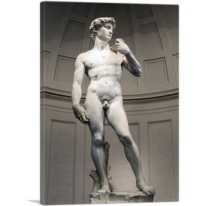 ARTCANVAS David 1504 by Michelangelo Canvas Art Print