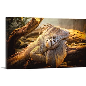 ARTCANVAS Lizard Home Decor Canvas Art Print