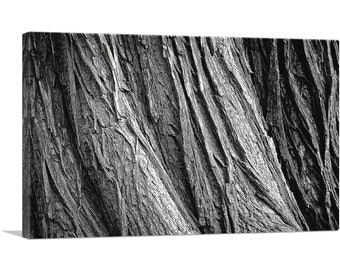 ARTCANVAS Tree Bark Home Decor Canvas Art Print