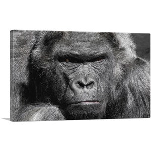 ARTCANVAS Angry Gorilla Home Decor Canvas Art Print