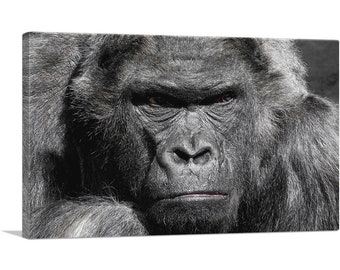 ARTCANVAS Angry Gorilla Home Decor Canvas Art Print