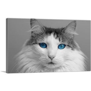 ARTCANVAS Ragdoll Gray Home Decor Canvas Art Print